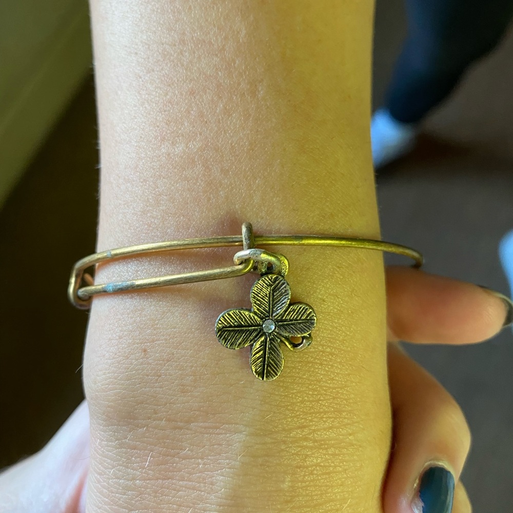 Alex and ani